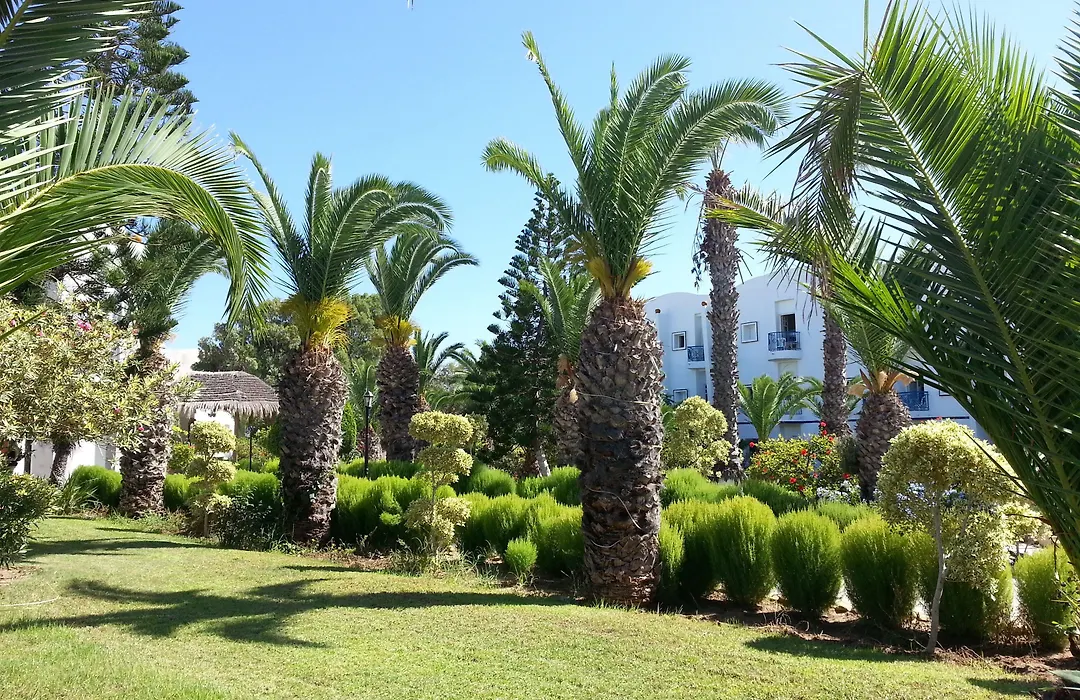 Eden Club Skanes-1